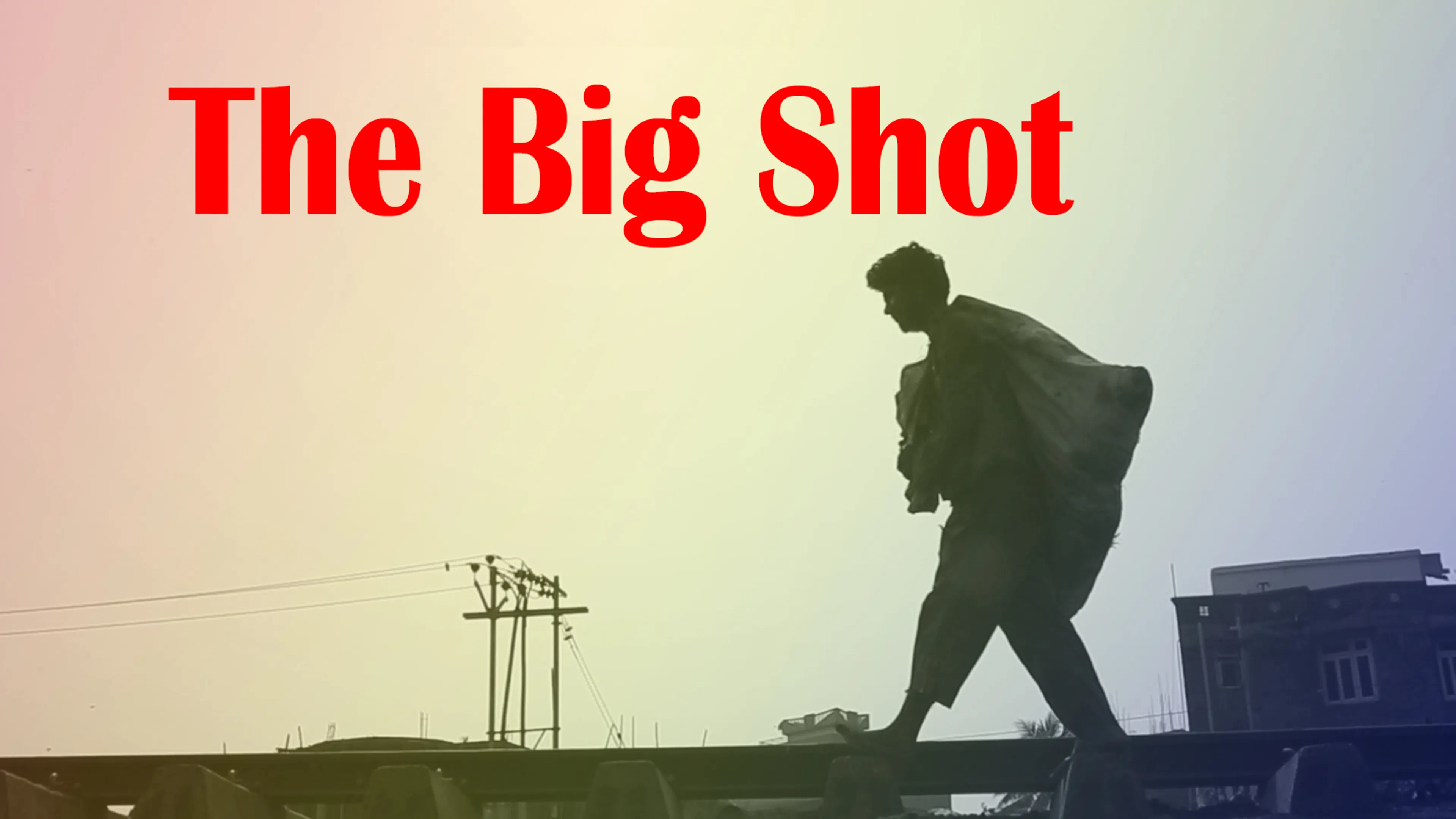 The Big Shot poster
